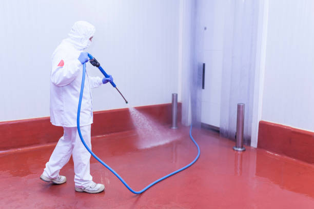 Professional  Pressure Washing Services in Malabar, FL