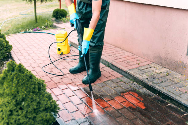 Animal Enclosure Cleaning in Malabar, FL